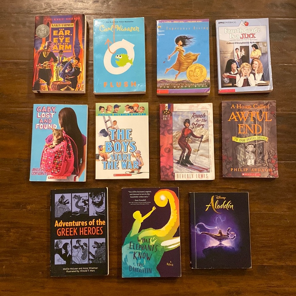 11 Teen YA Chapter Book Bundle | Reading Level 4-5 | Ages 10+